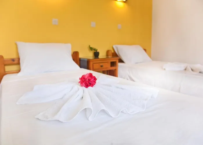 Omiros Pensjonat 4*
