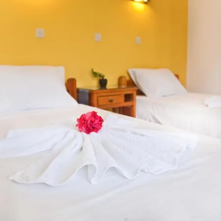 Omiros Guest house 4*