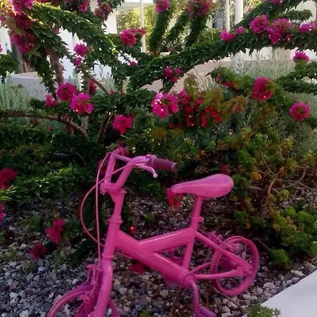 Pensjonat Omiros Faliraki