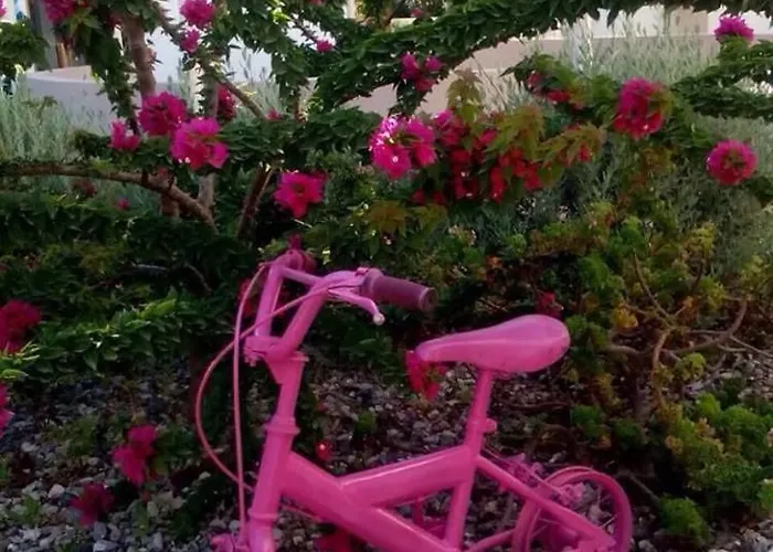 Pensionat Omiros Faliraki